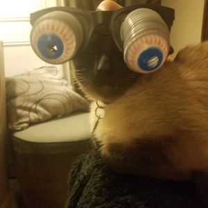 Meet your Posher, Christie